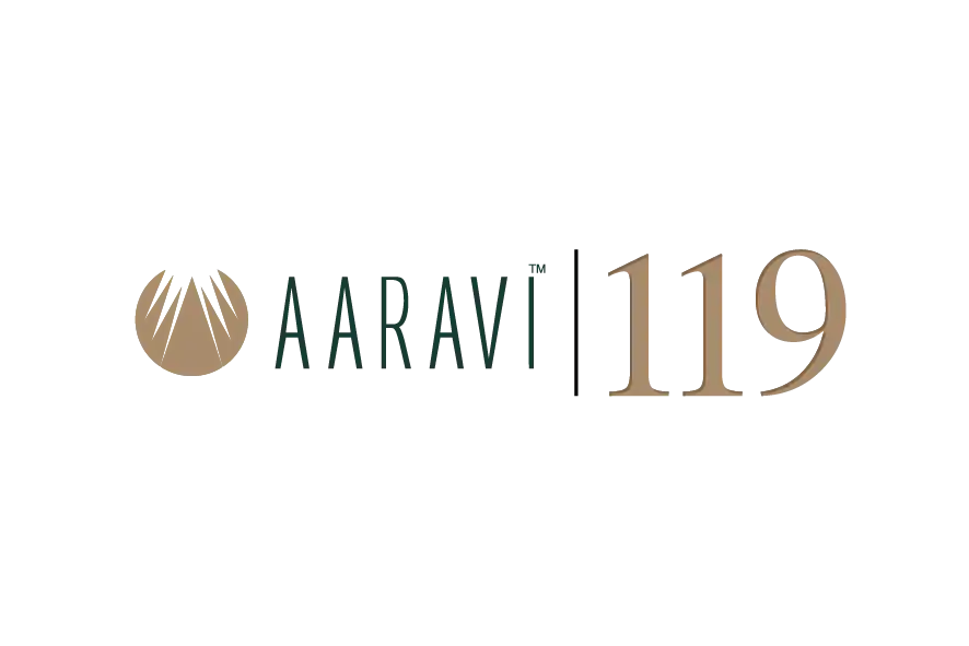 Aaray 119 logo with circular emblem and bold numeric project name.