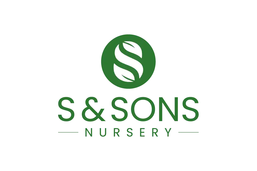 S & Sons Nursery logo with green circular leaf emblem and clean typography